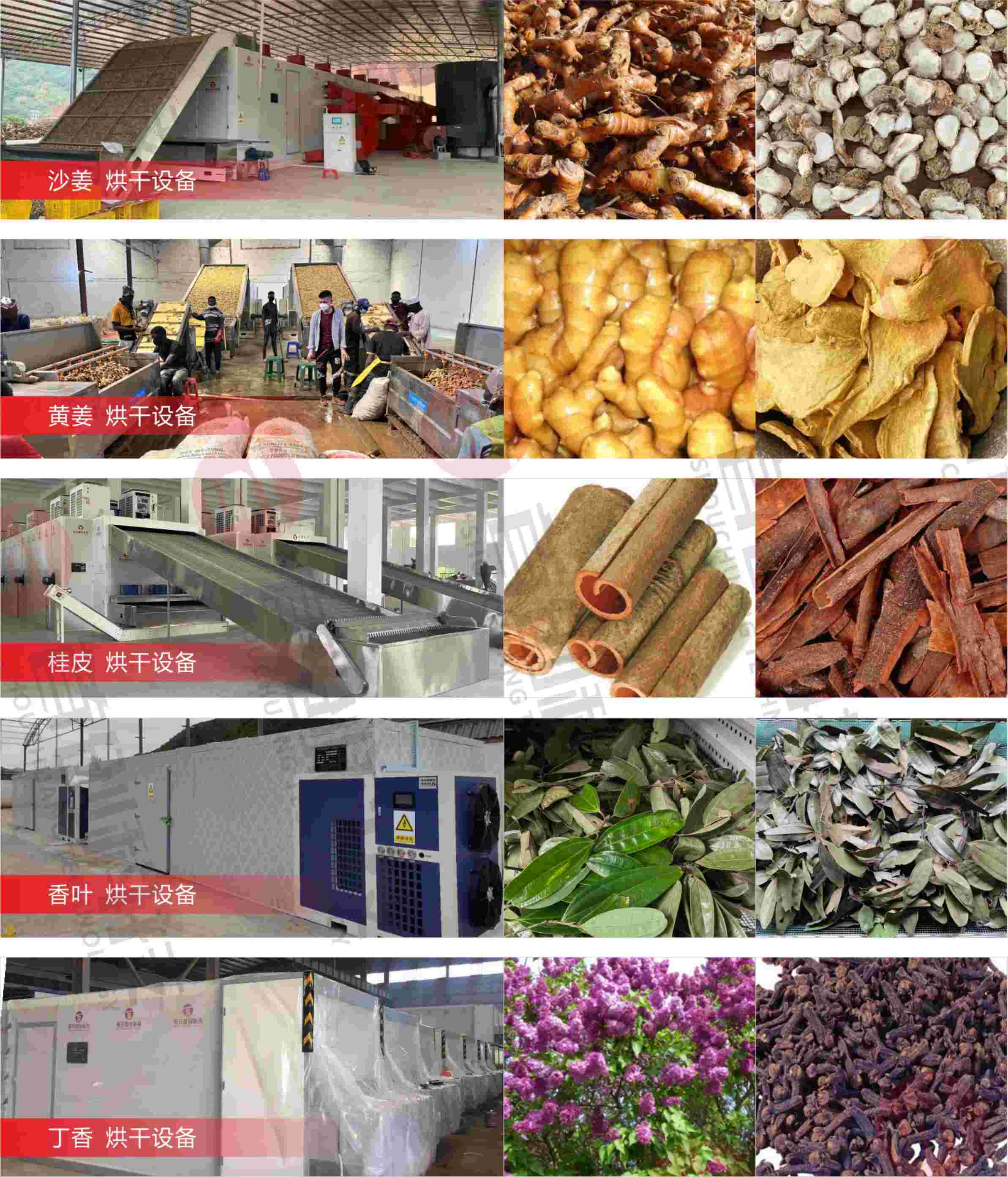 微信图片_20241102163131.jpg