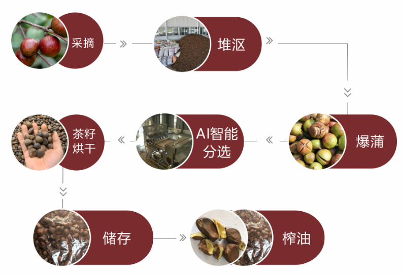 微信图片_20241129142619.png
